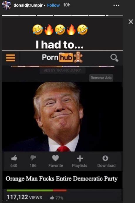 Donald Trump Jr Posts A Pornhub Meme Of His Father