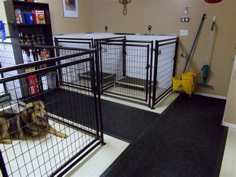 dog boarding kennel facility