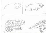 Chameleon Drawing Line Class Getdrawings sketch template
