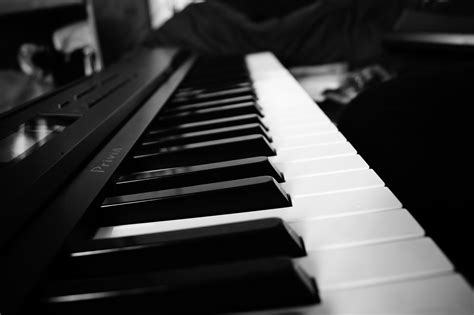 black  white piano  silentmannequinphoto  deviantart