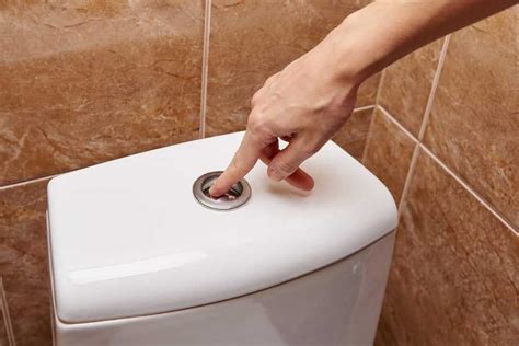 types  toilet flush systems pros  cons
