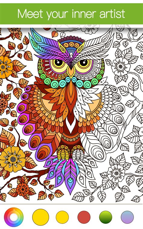 ideas  coloring books  adults apps home family style