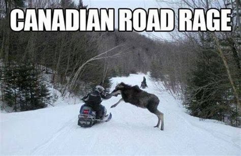 happy canada day buddy funny pictures 30 pics canada funny canada