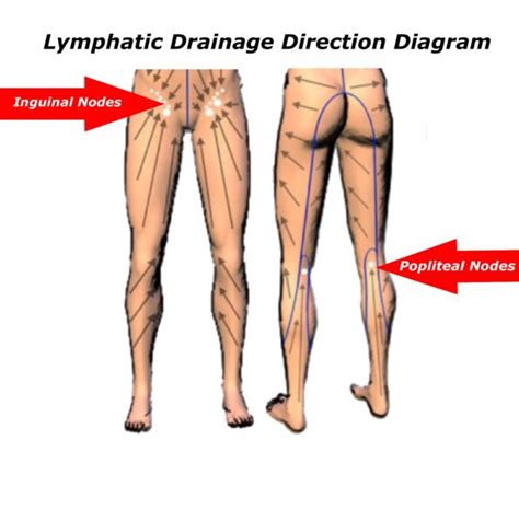 pin on lymphatic drainage massage
