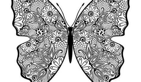 butterfly coloring page  tsgoscom