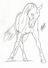 Dressage Horse Drawing Lineart Getdrawings sketch template