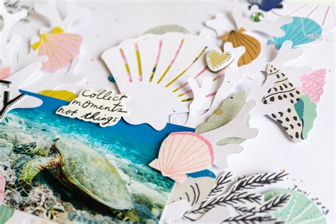 cute seashell collage maggie holmes design