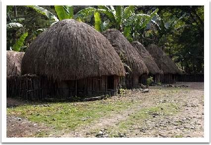 rumah adat tradisional provinsi irian jaya papua