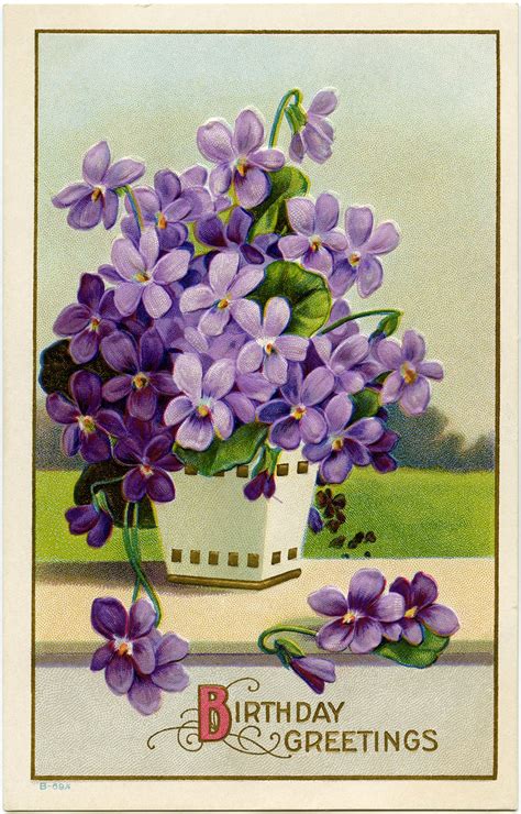 Purple Flowers In Basket ~ Vintage Postcard Image Old