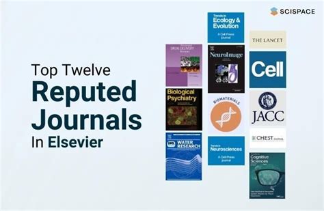 top  journals  elsevier   templates wwwvrogueco