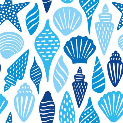 sea shell stock  pictures royalty  images istock