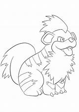 Growlithe Pokemon Coloring Pages Kids Printable Characters Template sketch template