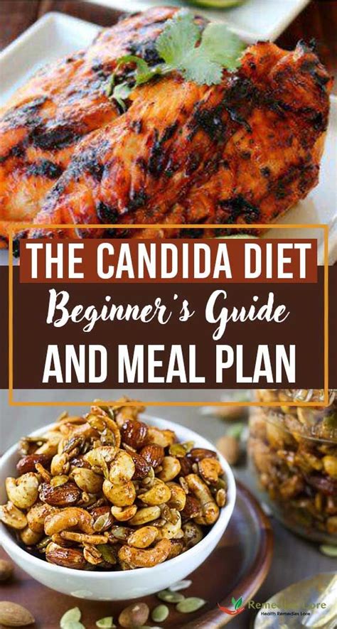 candida diet beginners guide  meal plan candida diet food