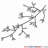 Coloring Branch Spring Pages Sheet Title sketch template