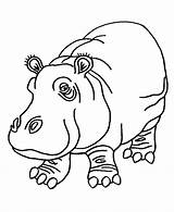 Hippo Coloring Pages Color Print sketch template