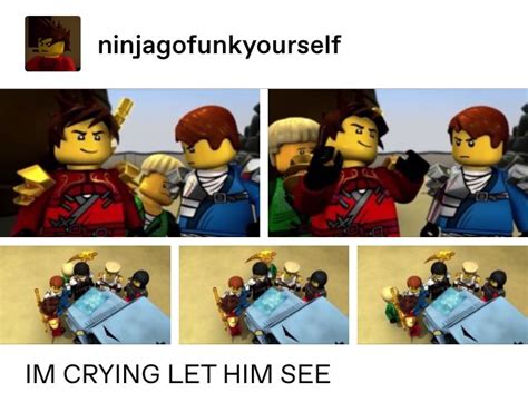 Pin By Sᴛʀᴡʙʀʏ Sʜʀᴛᴄᴋᴇ On Ninjago Ninjago Memes Lego Ninjago Ninjago