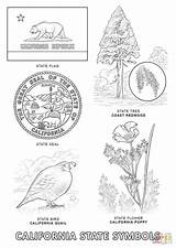 California State Coloring Symbols Pages Printable Drawing History Map Regions Tree Flag Crafts Book Outline Bird Missions Texas Flower Drawings sketch template