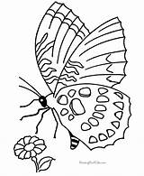 Kolorowanki Motyle Rama Owady Papillon Halaman Schmetterlinge Druku Mewarna Motylami Kolorowania Obrazki Ceria Haiwan Buku Bermain Página Darmowe Kertas Kidipage sketch template