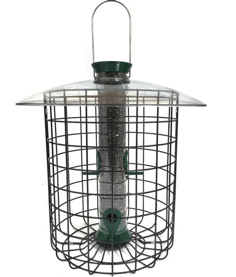 the best squirrel proof bird feeders and 12 tips that work