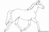 Colorat Cavalli Caballo Dessin Cavallo Pferd Caluti Cai Konji Chevaux Cheval Bojanke Konja Crtež Desene Stampare Fise Crtezi Cobayos Planse sketch template
