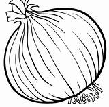 Vegetable Onions Kristina sketch template