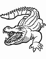 Crocodile Coloring Pages Open Mouth Crocodiles Supercoloring Reptiles Krokodil Drawing Alligator Printable Kids Alligators Worksheets Angry Parentune Illustration Categories Popular sketch template