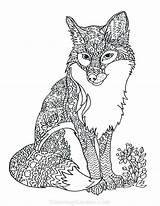 Fox Coloring Pages Adult Animal Printable Animals Terry Print Adults Coloringgarden Color Sheets Book Getcolorings Outline Wolf Cat Description sketch template