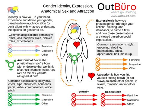 understanding gender identity and expression 101 outbüro