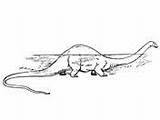 Dinosaur Diplodocus Sauropod Pages Coloring sketch template