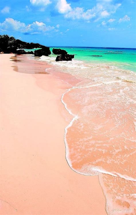 pink sand beach bermuda places  travel places   travel