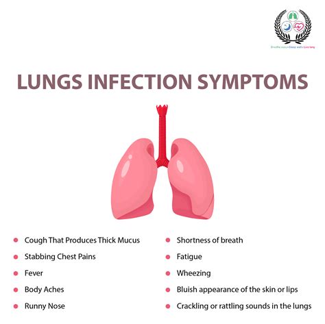 Lung Infections Demystified Types Symptoms Treatment