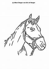 Pferd Plotter sketch template