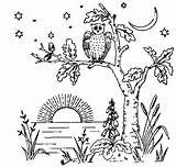 Embroidery Owl Coloring Pattern Evening Vintage Tree Thought Own Pretty But sketch template