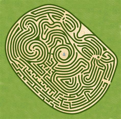 The World S Hardest Maze Only Geniuses Can Solve Reader S Digest