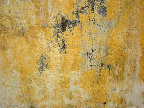 yellow wall texture stock photo freeimagescom