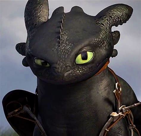 toothless httyd  toothless  dragon photo  fanpop
