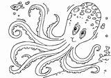 Tintenfisch Malvorlage Pulpo Octopus Ausmalbild Ausmalen Fische Kleurplaten Krake sketch template
