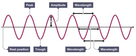 wave features diagram quizlet