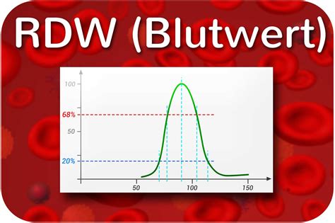 rdw red cell distribution width blutwert