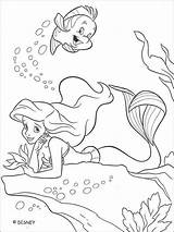 Pages Coloring Flounder Printable sketch template