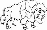 Buffalo Coloring Clipart Pages Kids Cape American Water Bison Color Sabres Getcolorings Printable Cliparts Clip Drawing Drawings Illustrations Colorings Book sketch template