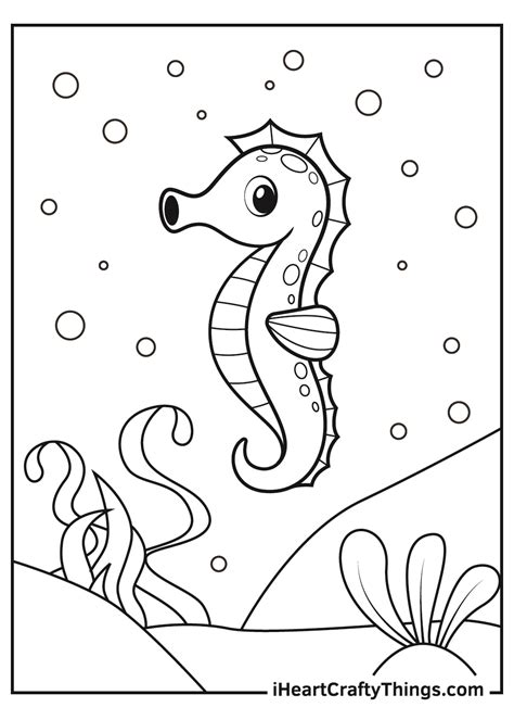seahorse coloring pages updated