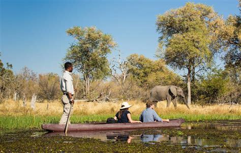 Safari With Nala Mokoro Safari Machaba Safaris™