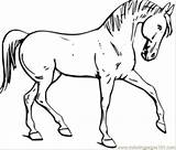 Coloring Pages Horse Printable Color Fantasy Horses Print Peoples sketch template