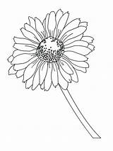 Daisy Printable Daisies Kids Bestcoloringpagesforkids Stars Drawing Mycoloring sketch template