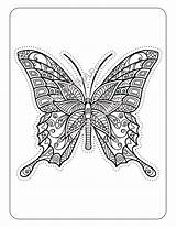 Zentangle sketch template