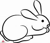 Rabbit Outline Bunny Clipart Animals Animal Small Clip Cliparts Head Cartoon Rabbits Library Coloring Color Wikiclipart Clipartmag Cliparting Jpeg Related sketch template