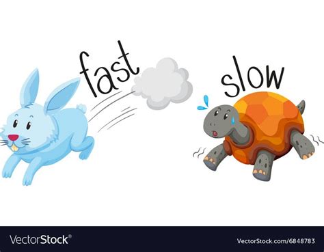 rabbit runs fast and turtle runs slow royalty free vector learning