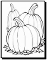 Pumpkin Coloring Pages Patch Pumpkins Halloween Printable sketch template