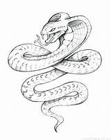 Boa Rattlesnake Coloring Constrictor Pages Drawing Diamondback Western Coiled Printable Getdrawings Getcolorings sketch template